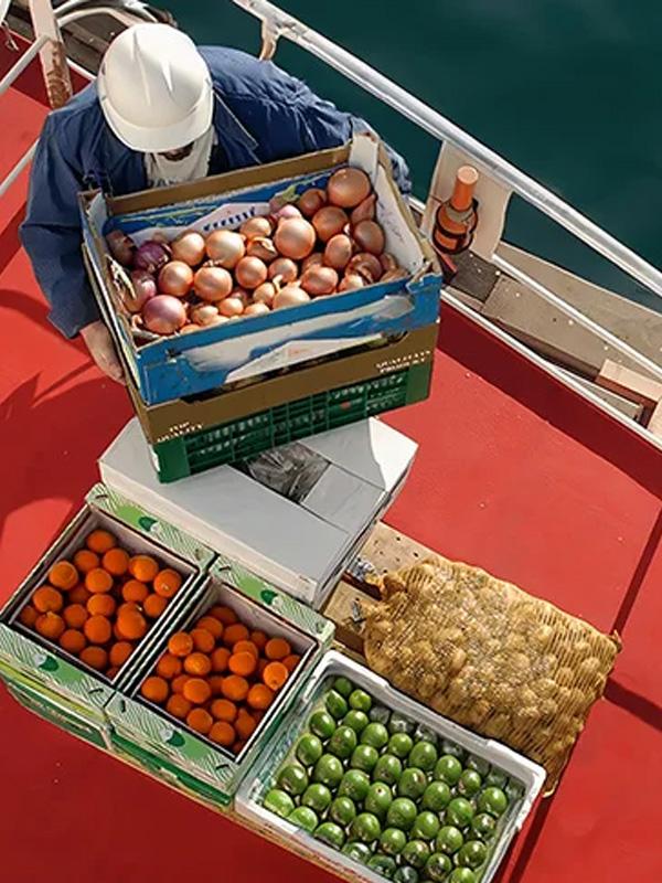 Ship Chandling Services
