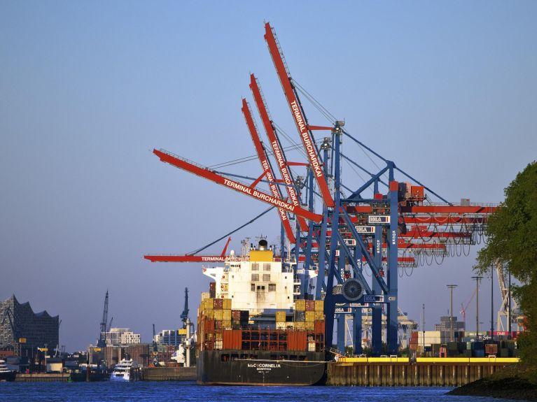 Vessel Port Support